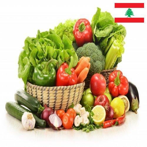 Овощи свежие из Ливана