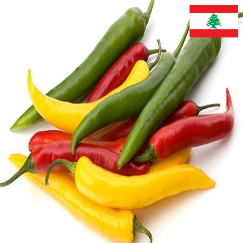 Перец чили из Ливана