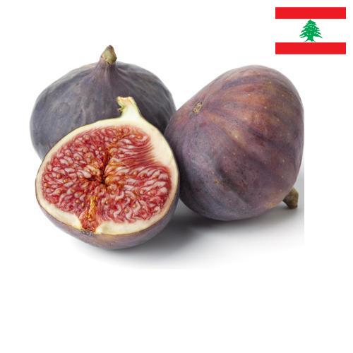 Рис из Ливана