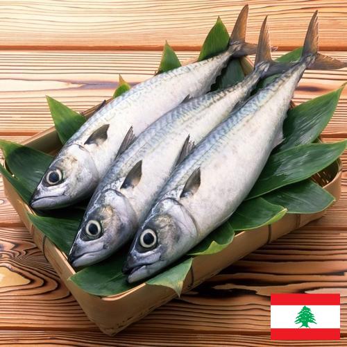 рыба свежая из Ливана