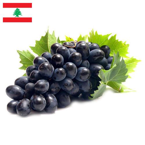Виноград из Ливана
