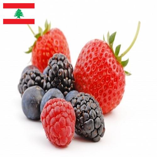 Ягоды из Ливана