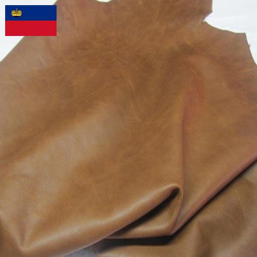 Замша из Лихтенштейна