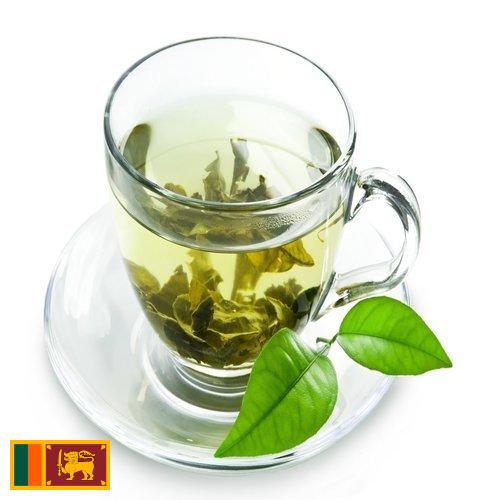 чай зеленый байховый из Шри-Ланки
