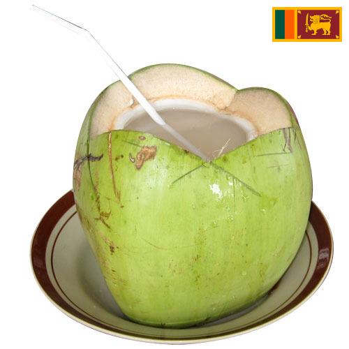 кокосовая вода из Шри-Ланки