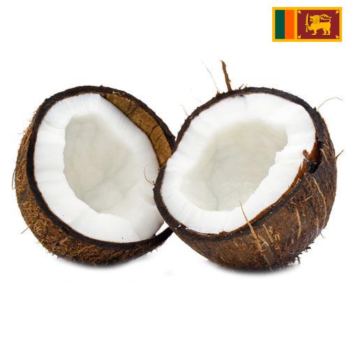 Кокосы из Шри-Ланки