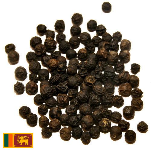 перец черный из Шри-Ланки