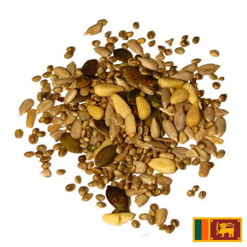 Семена из Шри-Ланки