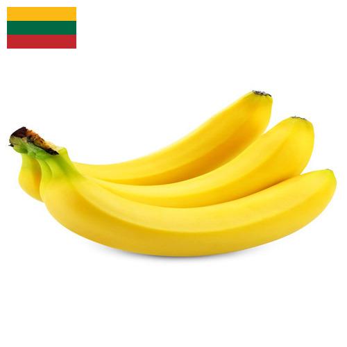 Бананы из Литвы