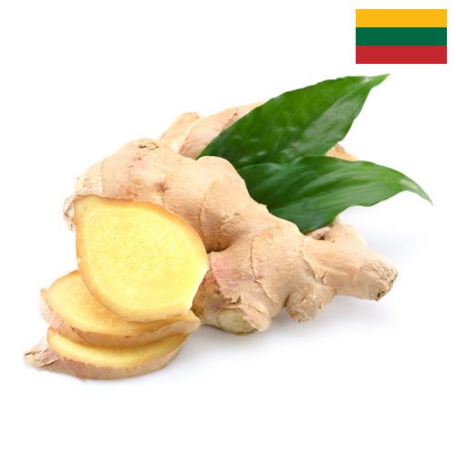 Имбирь из Литвы