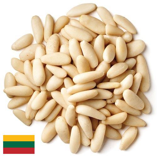 Кедровые орехи из Литвы