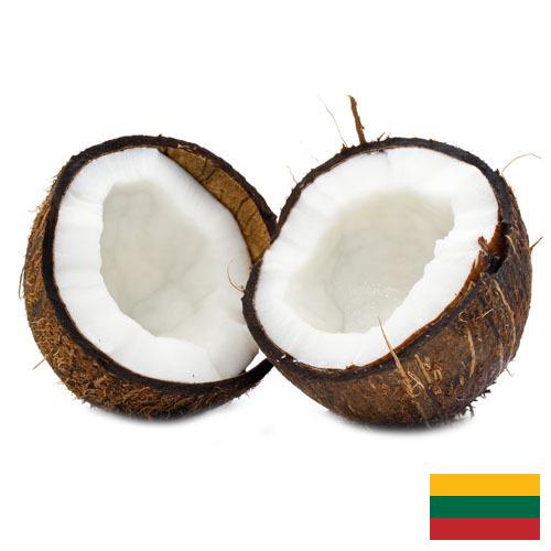 Кокосы из Литвы