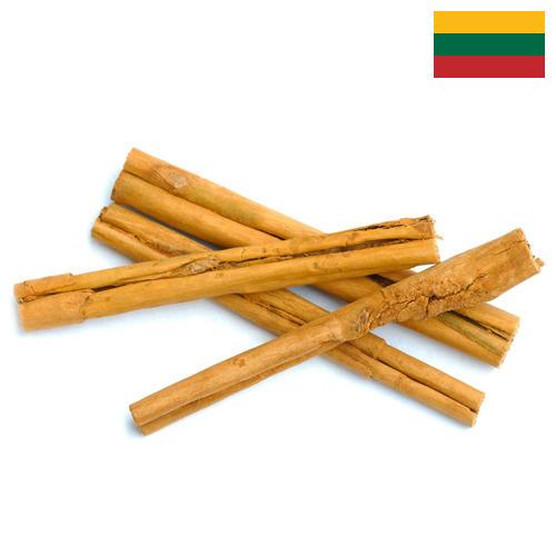 Корица из Литвы