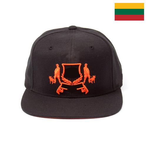 Козырьки из Литвы