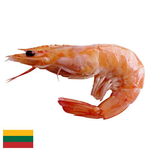 Креветки из Литвы