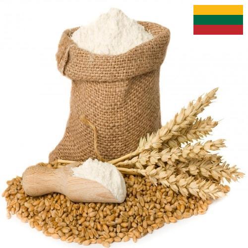 мука пшеничная хлебопекарная высший сорт из Литвы