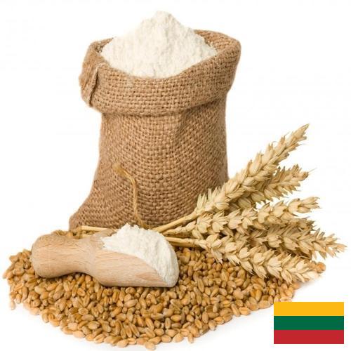 мука пшеничная хлебопекарная из Литвы