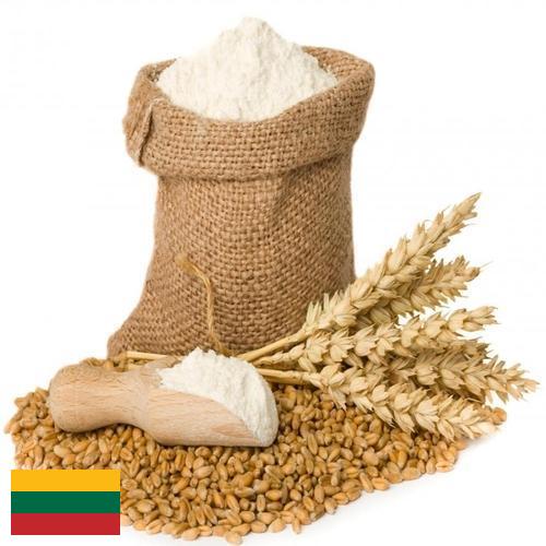 мука пшеничная высший из Литвы