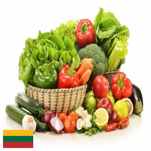 Овощи свежие из Литвы