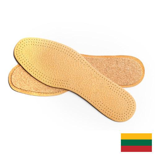 подложка из Литвы