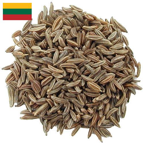 Семена тмина из Литвы