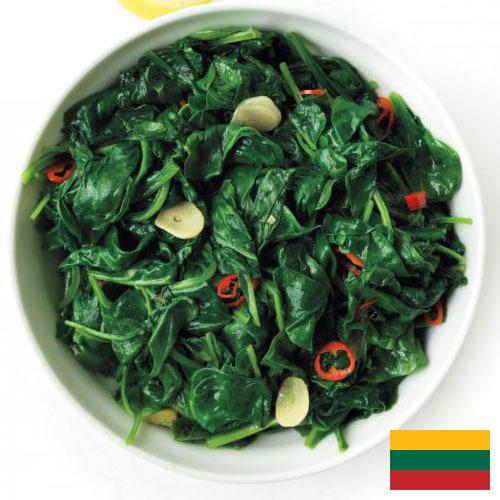 Шпинат из Литвы