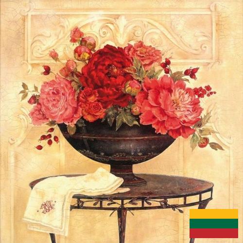 Шторы декоративные из Литвы