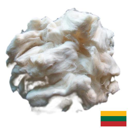 вискоза из Литвы