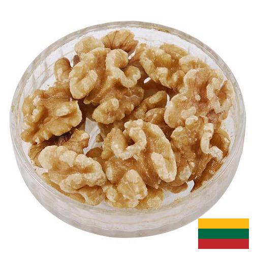Ядра орехов из Литвы