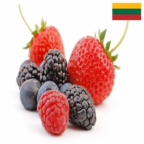 Ягоды из Литвы