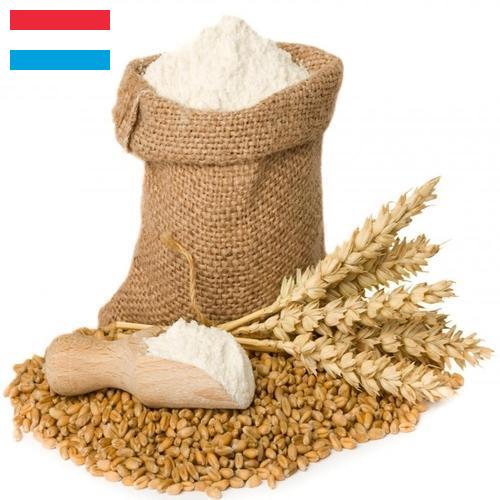 мука пшеничная хлебопекарная высший сорт из Люксембурга