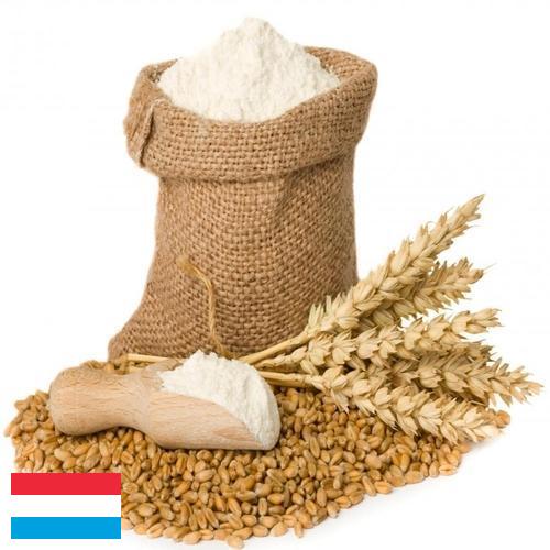 мука пшеничная хлебопекарная из Люксембурга