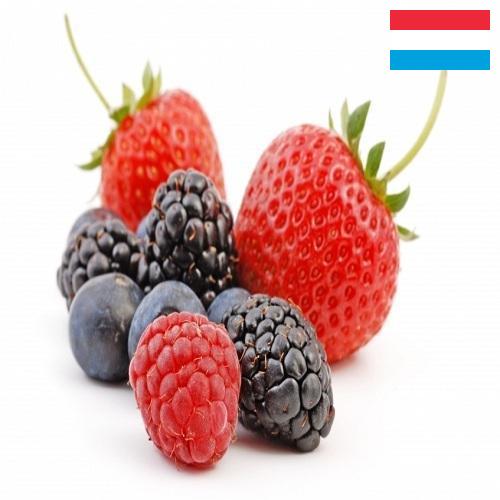 Ягоды из Люксембурга