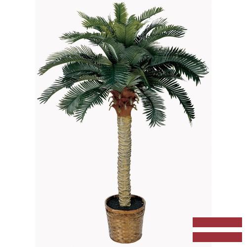 Деревья искусственные из Латвии