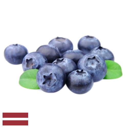 Голубика из Латвии