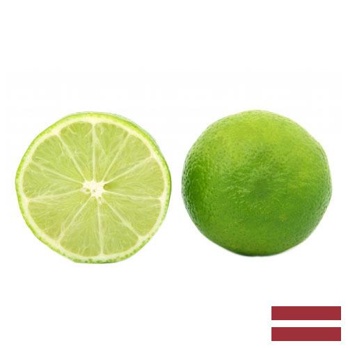 лайм из Латвии