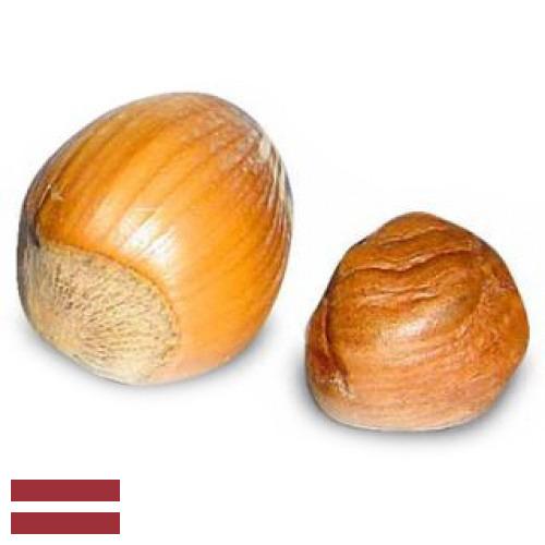 орех фундук из Латвии