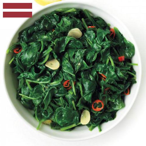 Шпинат из Латвии