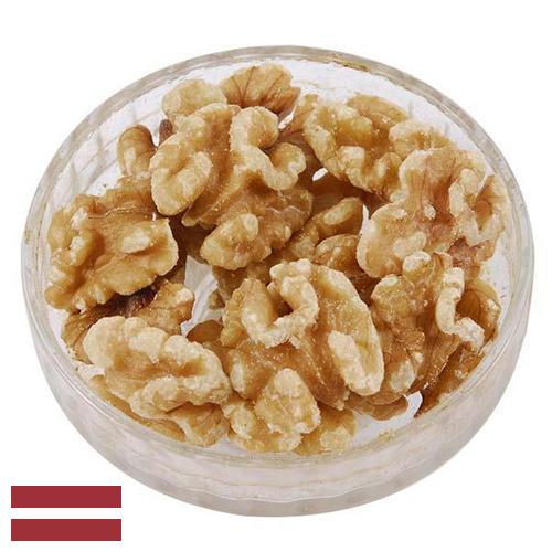 Ядра орехов из Латвии