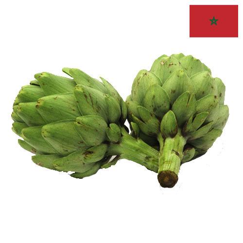 артишок из Марокко
