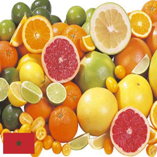 Цитрусовые фрукты из Марокко