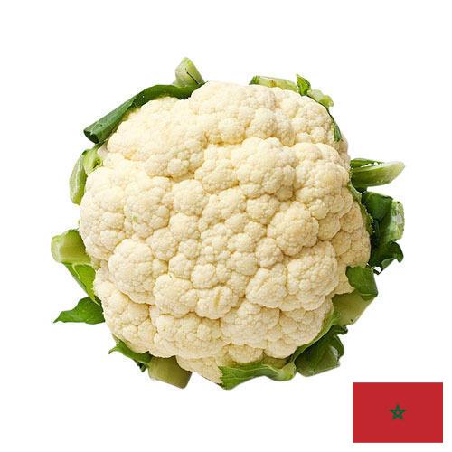 Капуста цветная из Марокко