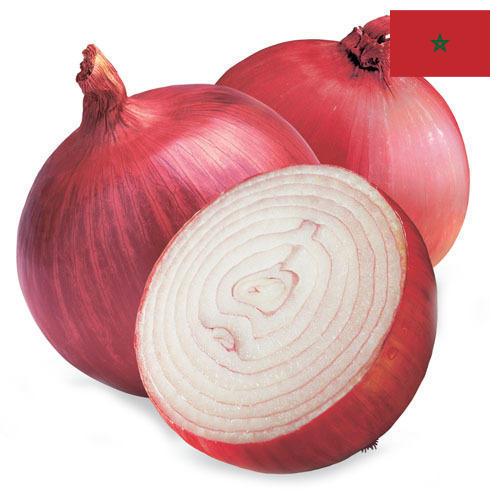 Лук красный из Марокко