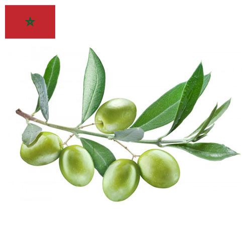 маслины оливки из Марокко
