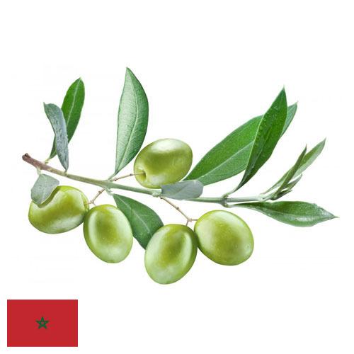 Оливки из Марокко