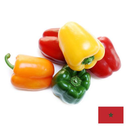 перец болгарский свежий из Марокко