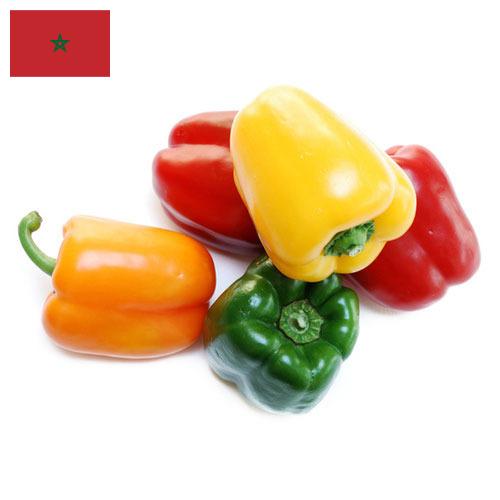 перец сладкий свежий из Марокко