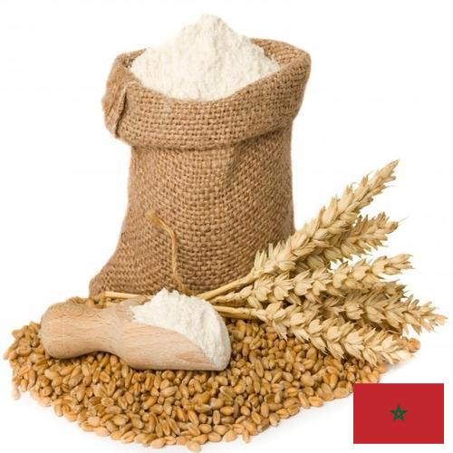 Пшеничная мука из Марокко
