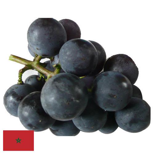 виноград столовый из Марокко