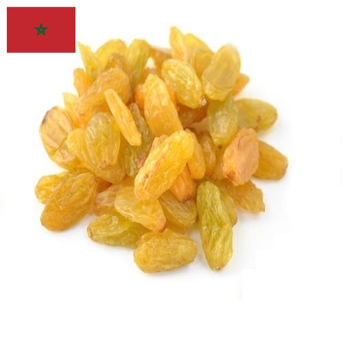 виноград сушеный из Марокко